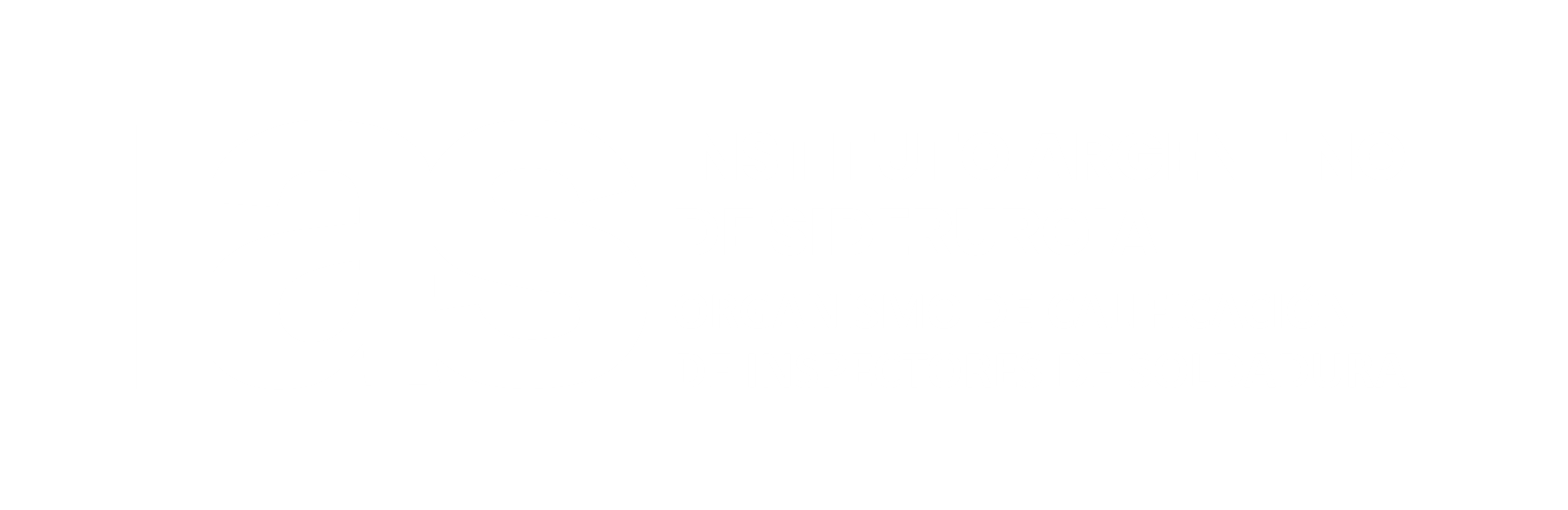 Ingreso al Sistema de Inspectores logo